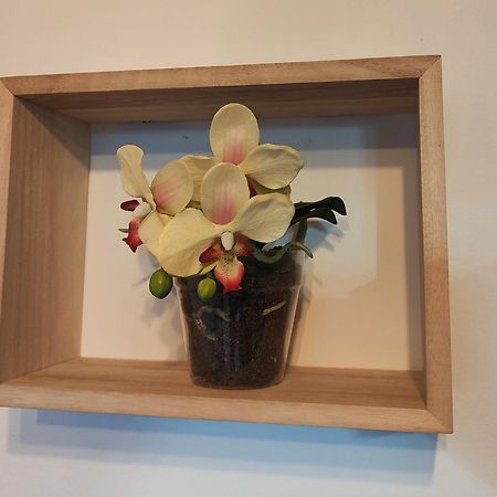 El Cielo De Fomento Apartment Gijon Ngoại thất bức ảnh